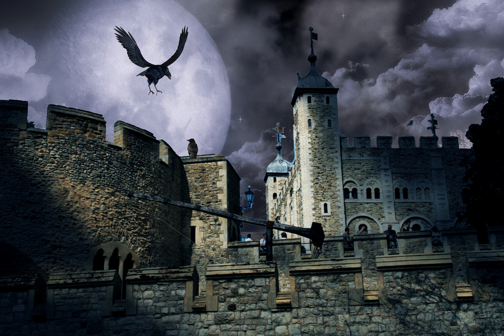 The ravens are the unique. Вороны Тауэра в Лондоне. Крепость Тауэр в Лондоне вороны. Лондонский Тауэр вороны Легенда. Черные вороны Тауэр.